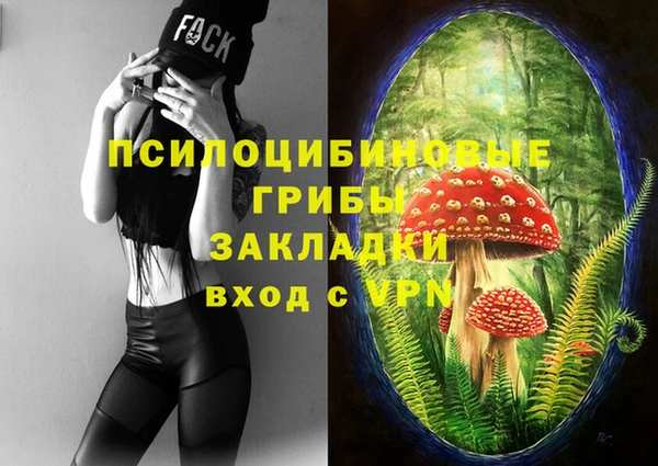 спайс Богородицк