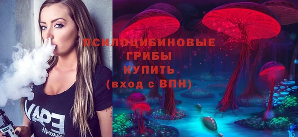ешки Богородск