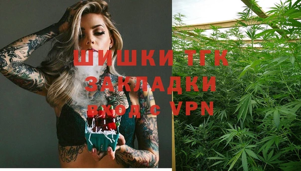 ECSTASY Богданович