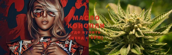 ECSTASY Богданович