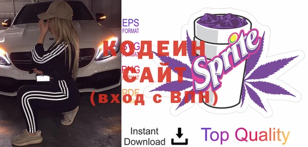 ECSTASY Богданович
