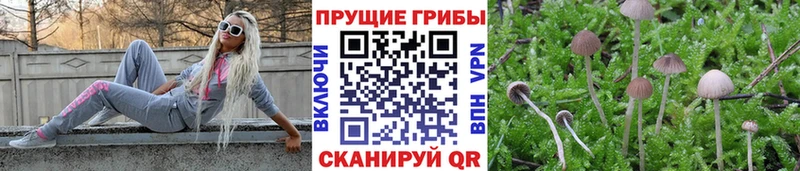 Галлюциногенные грибы Cubensis  Евпатория 